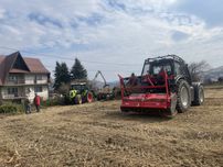 Wycinka drzew. Mulczowanie terenu. Usowsnie zakrzaczen