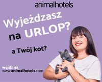 Potrzebujesz opieki dla psa i kota? Wejdź na animalhotels.com