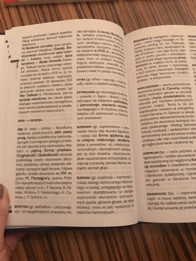 gramatyka polska, ortografia i słownik terminów literackich