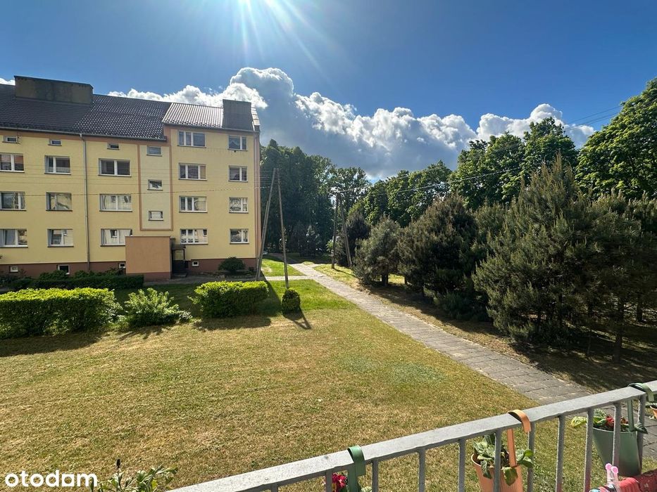 3 pokoje I Parter I Balkon i piwnica