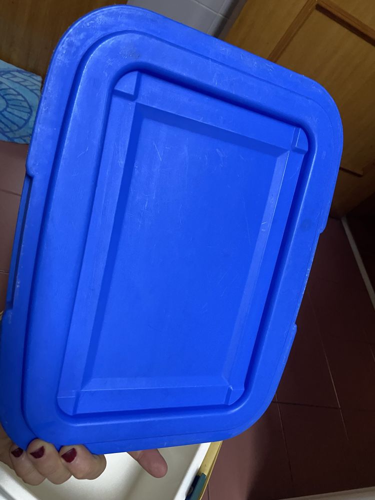 Geleira de 10 litros azul