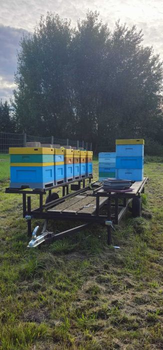 Sprzedam przyczepkę jednosiową do przewozu uli, pod ule