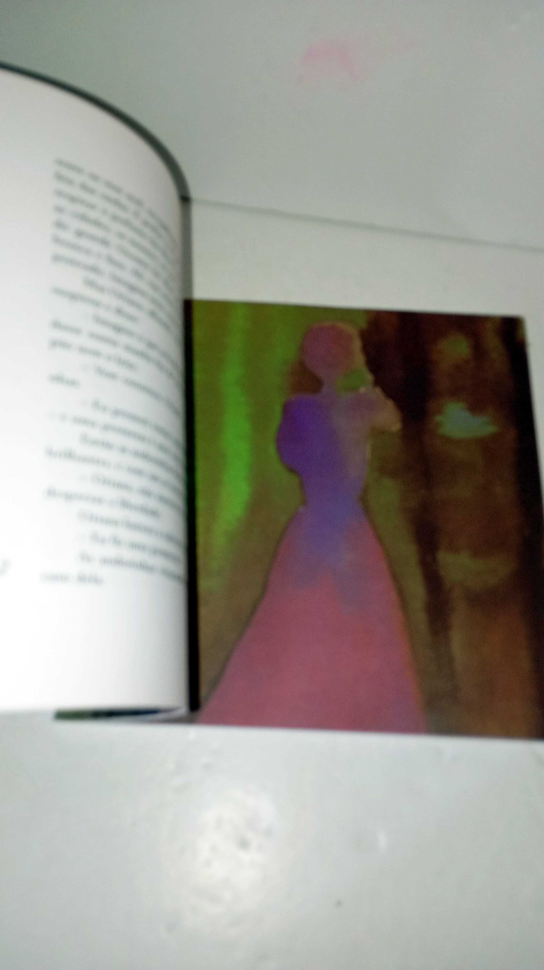 A Fada Oriana - Sophia de Mello Breyner