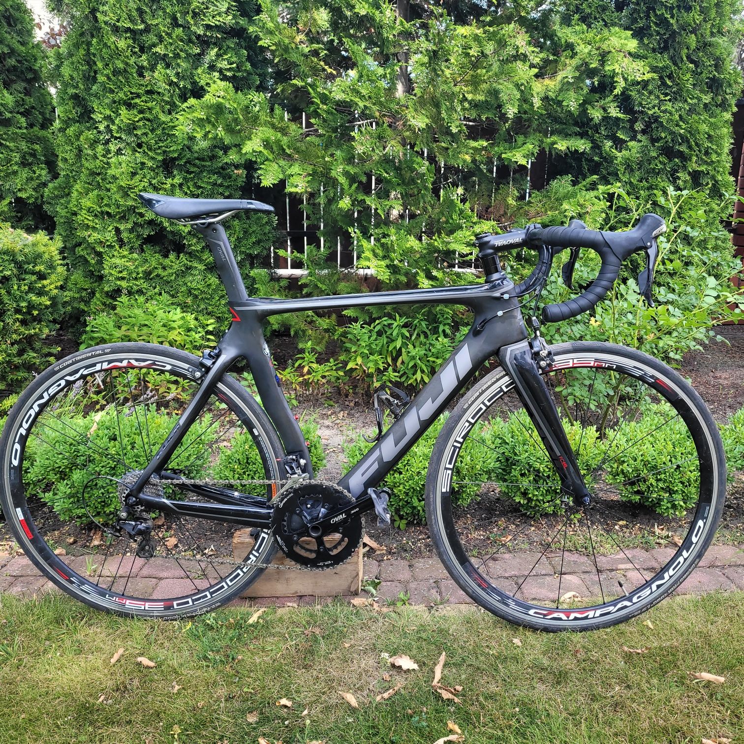 Fuji Transonic 2.5 54cm 2018r