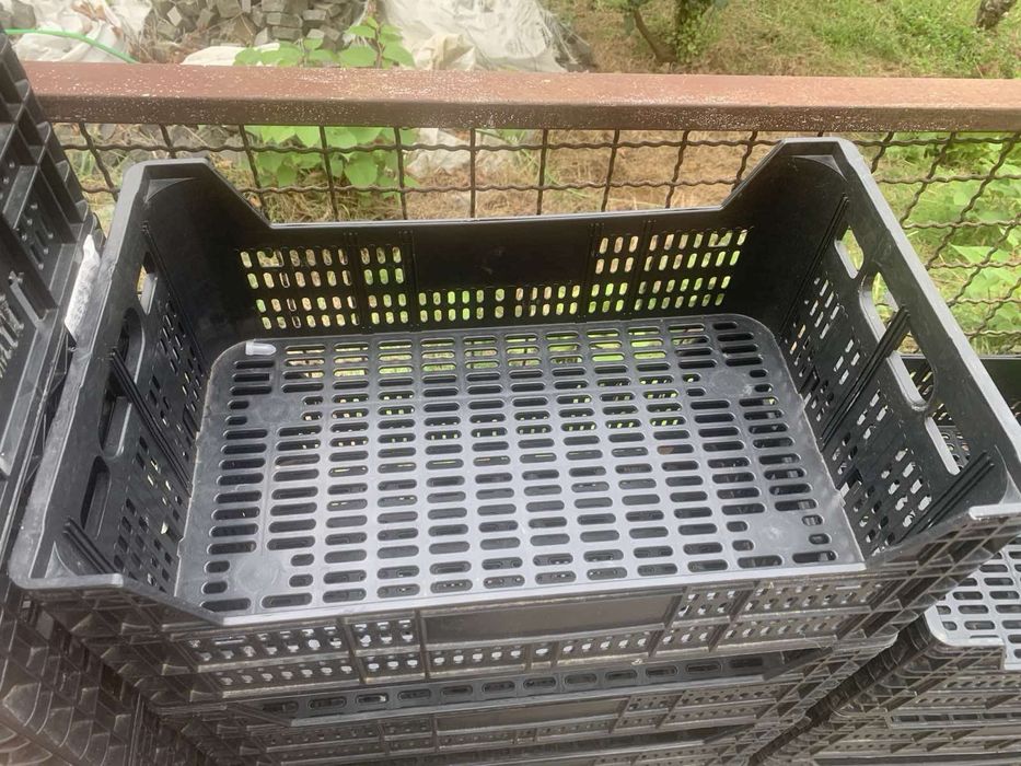 Продам пластикові ящики для овочів чи фруктів.