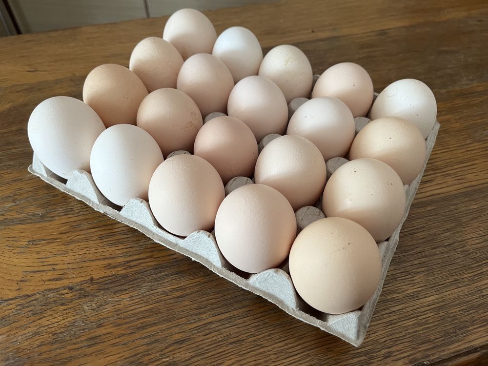 Jaja wiejskie jajka z wolnego wybiegu ekologiczne
