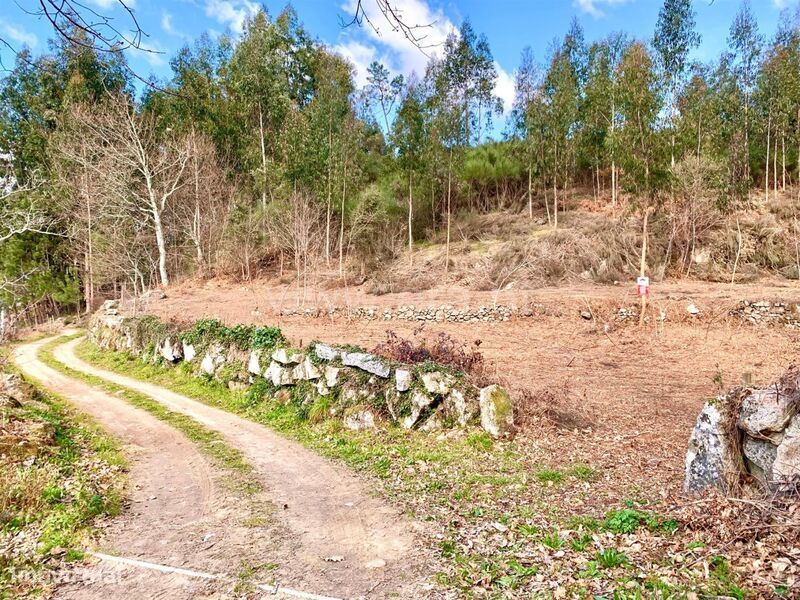 Terreno / Cinfães, Fornelos