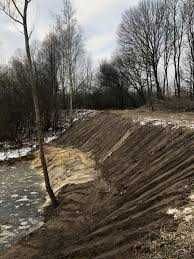 Kopanie stawów, usługi koparką