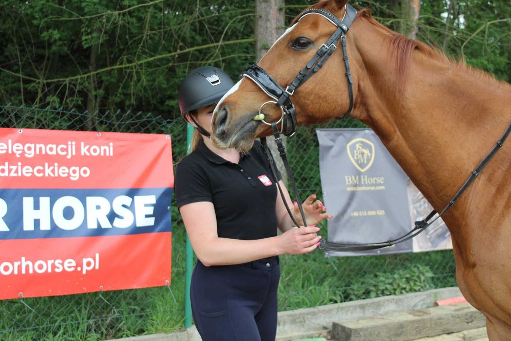 Jazda konna/treningi/dzierżawa