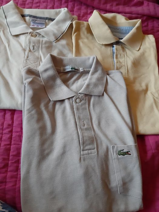 Polos de homem de várias marcas e em bom estado