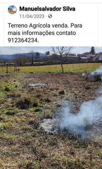 Vendo  terreno  agrícola