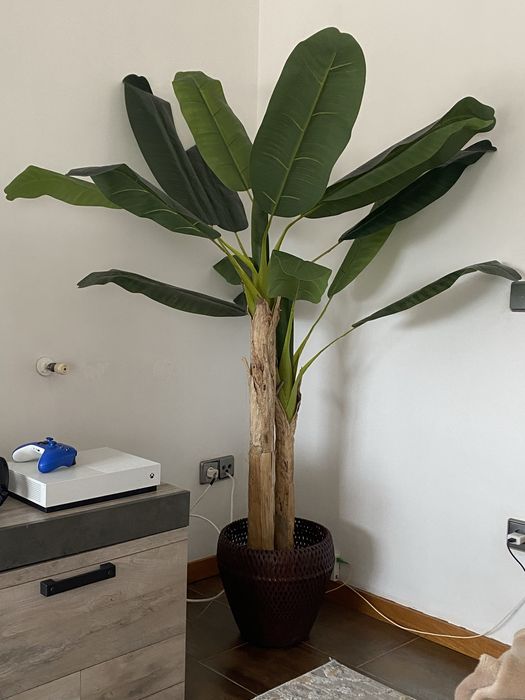 Bananeira artificial Gato Preto