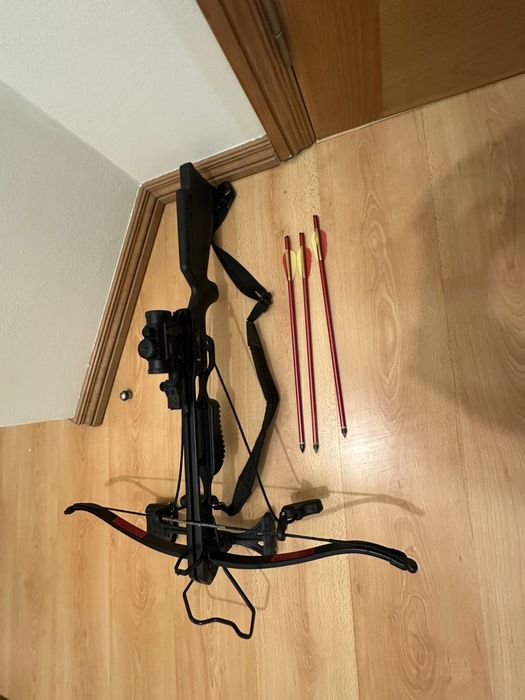 BESTA RECURVA JAGUAR I, 220 fps 175 lbs