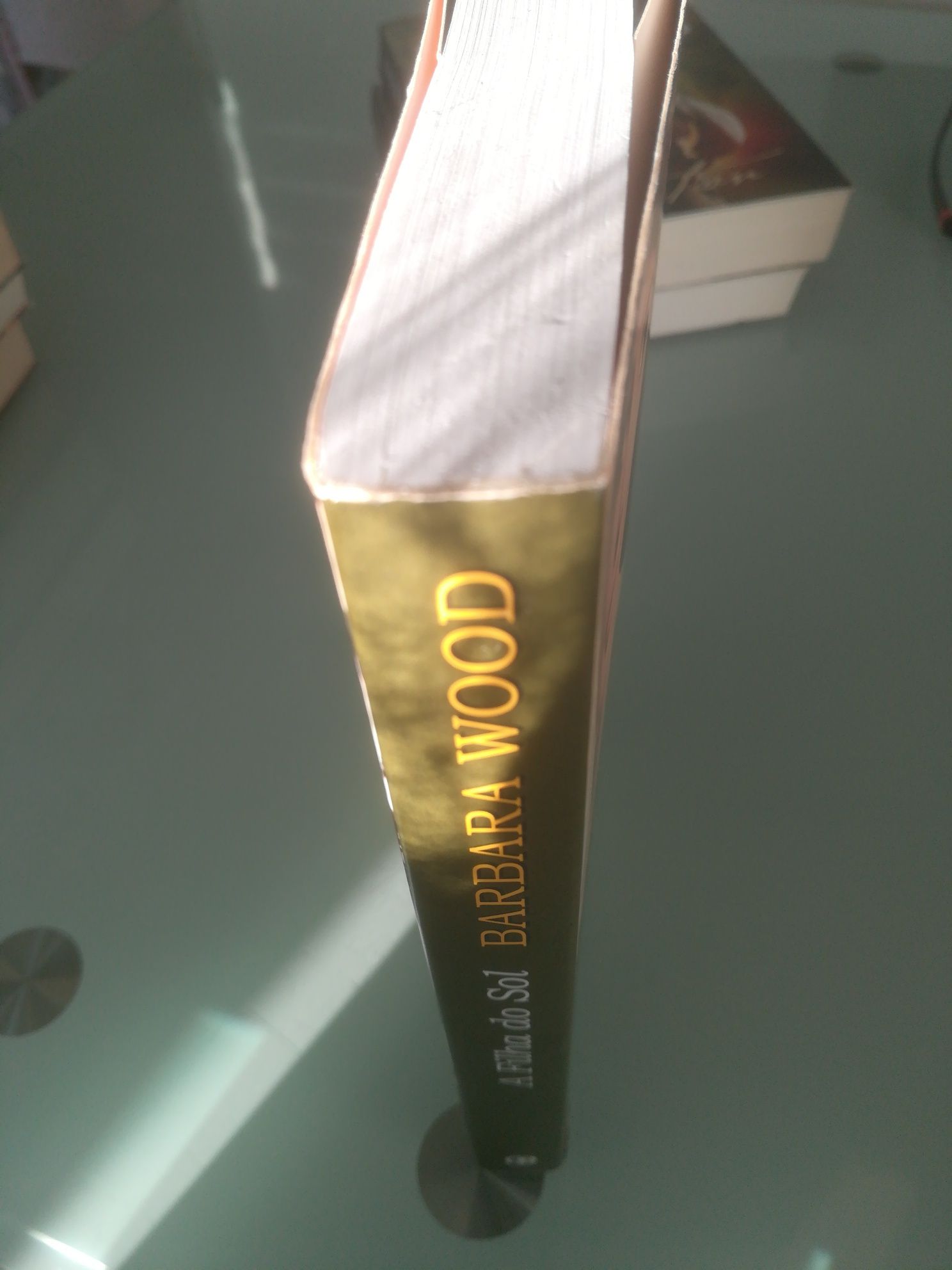 Bárbara Wood - A filha do Sol. Livro em óptimo estado