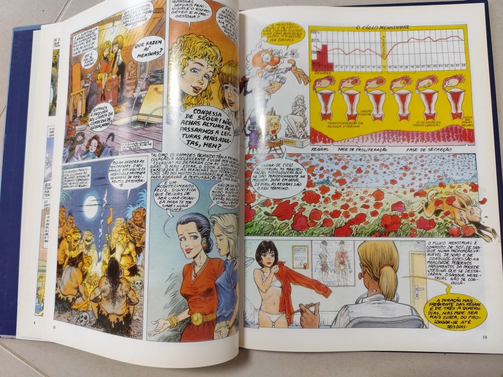 Livro: A Arte de Bem-Amar - A Sexualidade em Banda Desenhada
