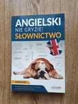 Angielski nie gryzie - Słownictwo