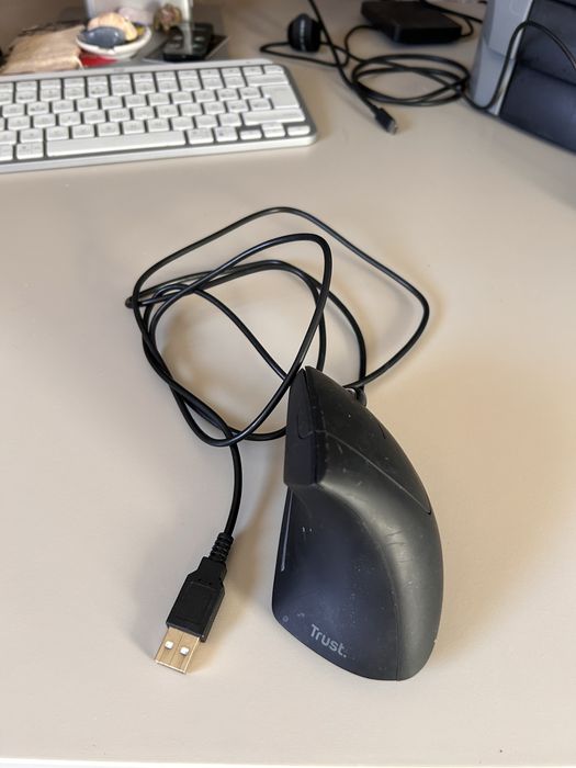 Rato ergonomico