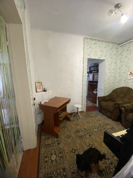 Пролам копитальеый дом