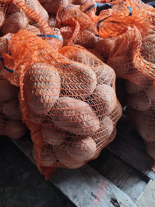 Ziemniaki żółte i czerwone