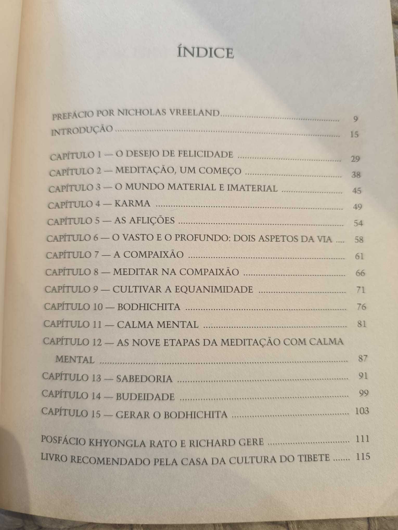 Livro "Palavras do Coração" de Dalai Lama