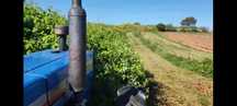 Serviços agriculas,corta mato,limpeza de terrenos e quintais..