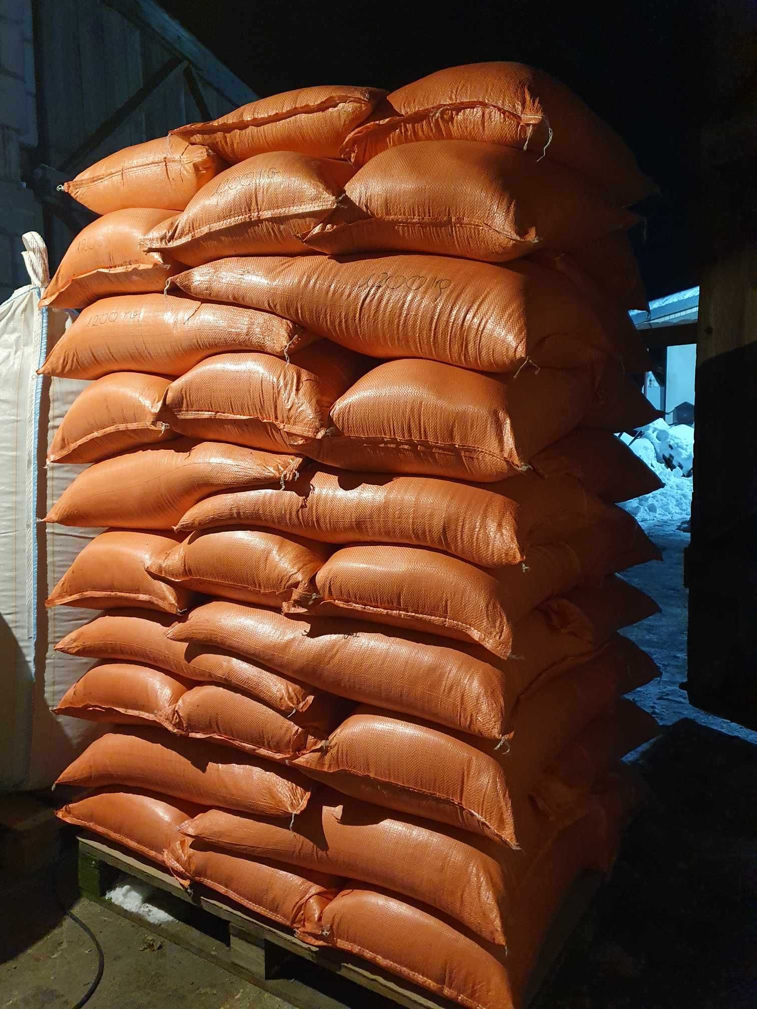 LUCERNA Koniczyna Sorgo Proso Wyka Groch Peluszka Rajgras Trawa Życica