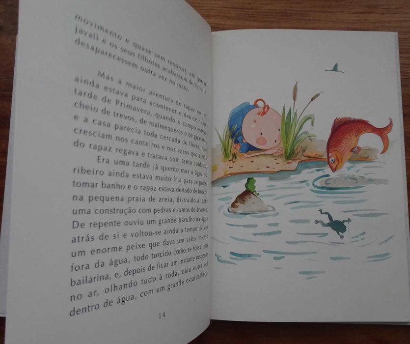 O Segredo do Rio de Miguel Sousa Tavares