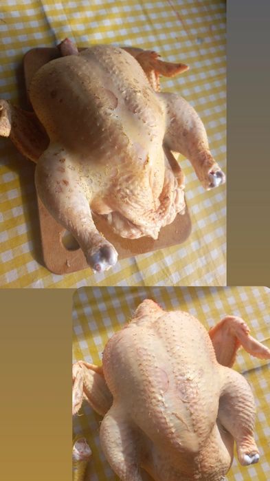 Домашний бройлер