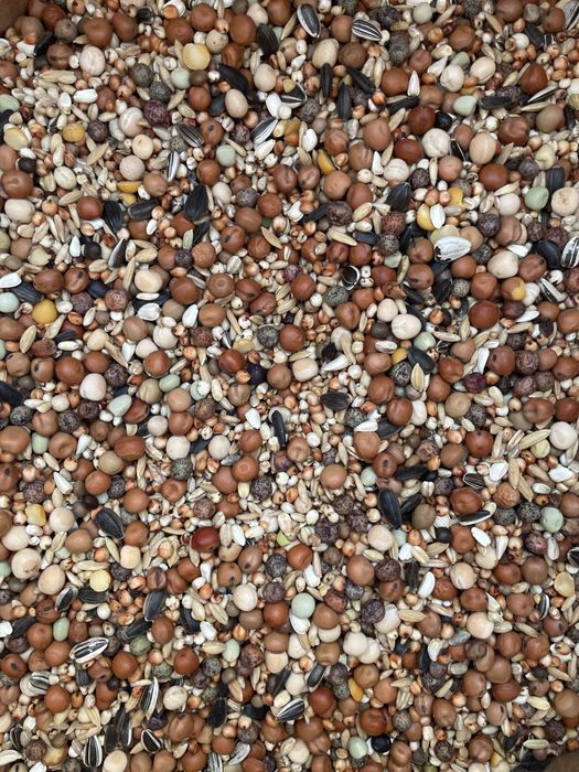 Karma mieszanka dla gołębi NIBORD Rozpłodowa i dla młodych R+M 25 kg