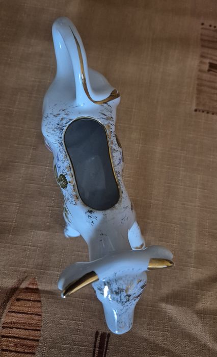 Mlecznik krówka Chodzież