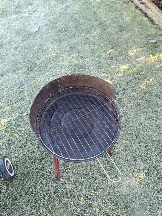 Grill na działkę , ryby 2 sztuki