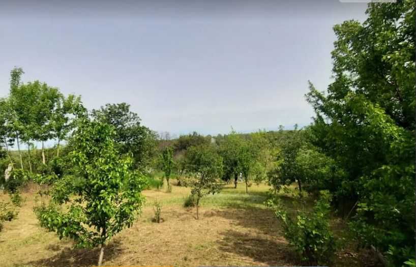 Продам свій будинок в Любимовкі.