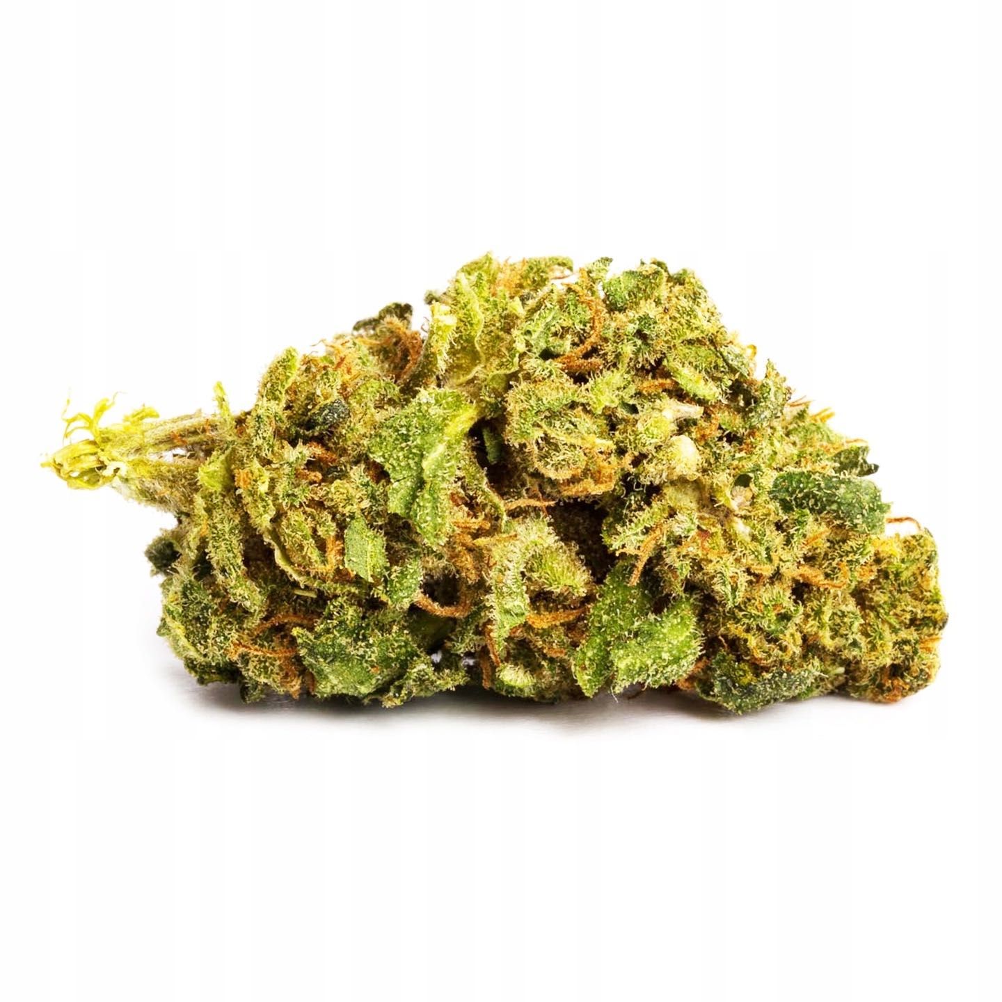 100G Susz CBD Skywalker OG 0,20% HURT Producent FV Susz konopny