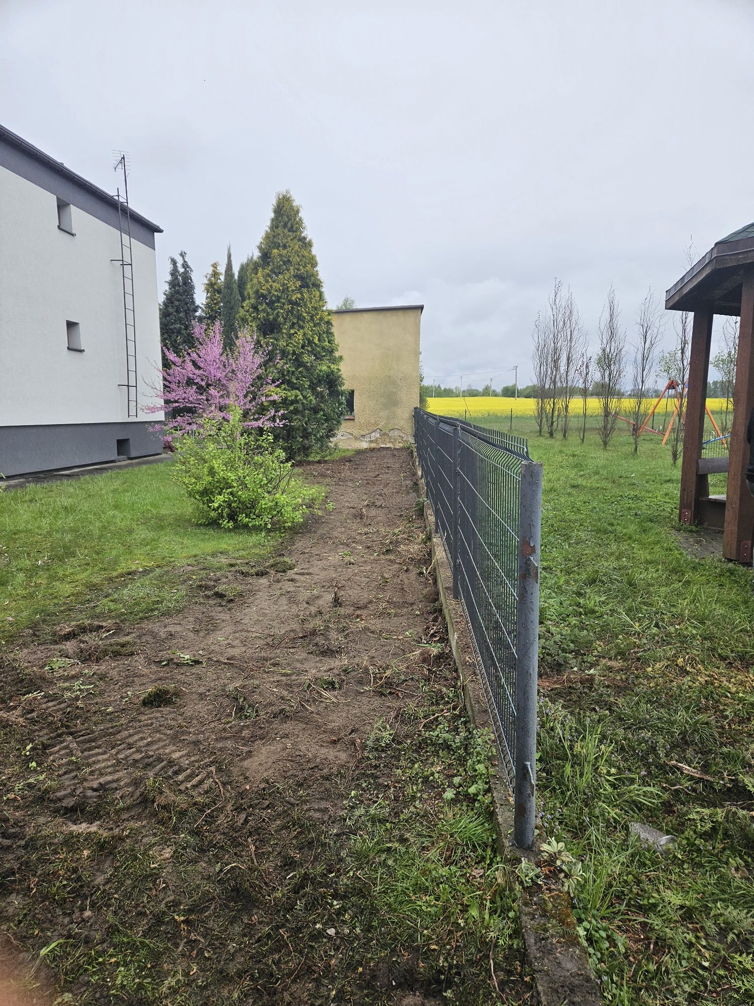 Wycinka tuji, równanie teru wywóz zalegającej ziemi ,sadzenie tuji