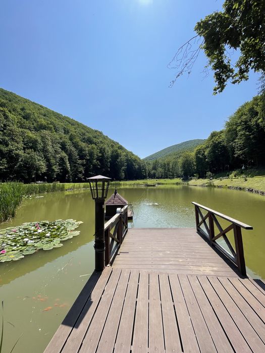 Апартаменти в Сонячному Закарпатті