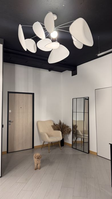 Оренда бровист, манікюр, майстер по волоссю