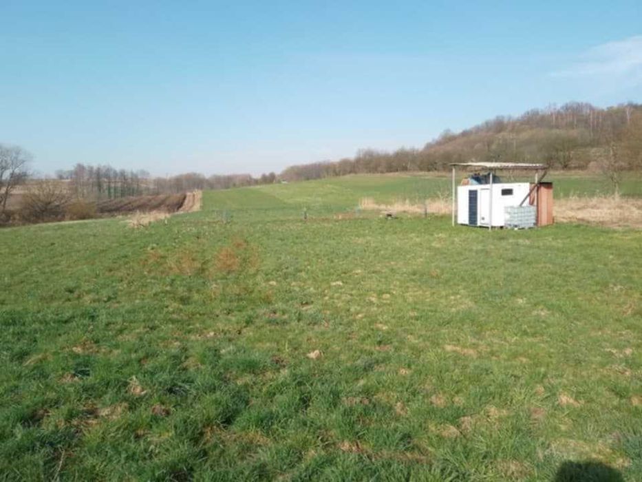 Działka rekreacyjna służąca jako miejsce ucieczkowe