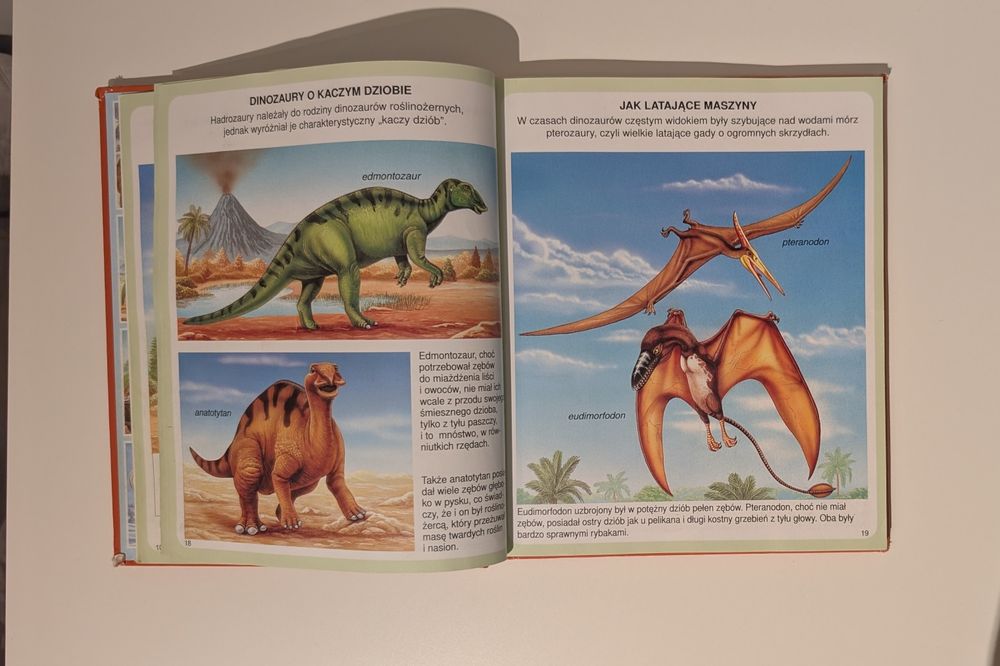 Świat w obrazkach Dinozaury i prehistoria książka dla dzieci