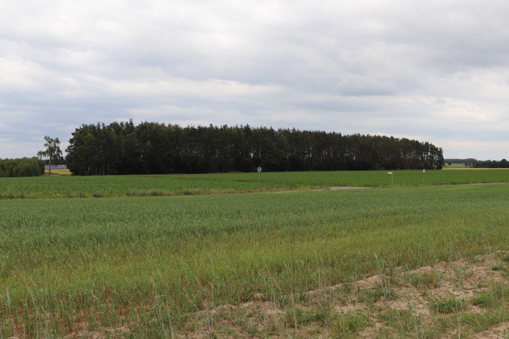 Sprzedam działkę budowlaną mieszkaniowo-usługową