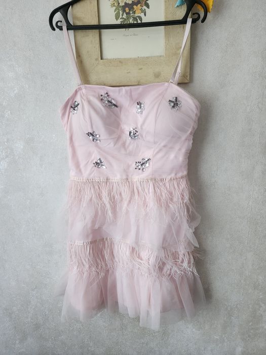 Невагоме коктейльне плаття блідно-рожевого кольору з пір'їнками