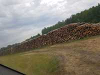 Drewno Opałowe olsza czarna 1000m3 SUCHE SEZONOWANE