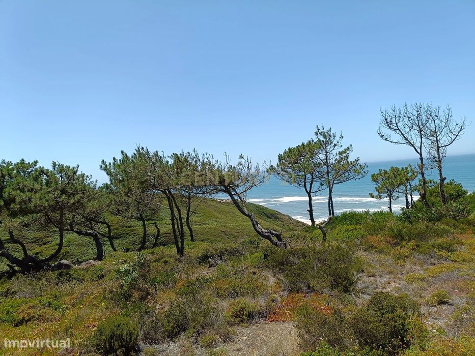 Terreno urbano 570m2 na zona de Falca perto da praia e rodeada de espa