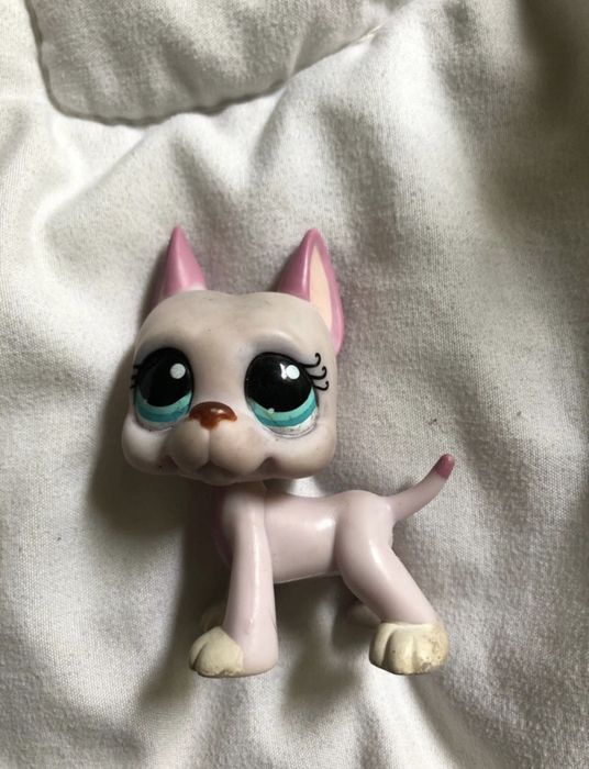 Piesek dog lps 100% org