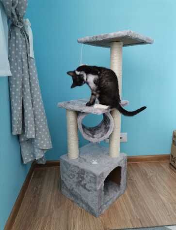 Кутова кігтеточка для кота