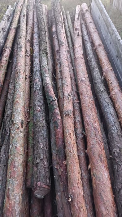 Stemple sosnowe 3,5m