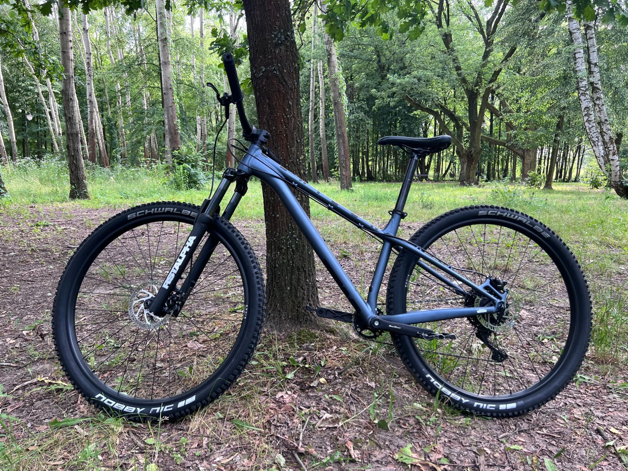 Rower MTB NS BIKES Eccentric Lite 2 29''