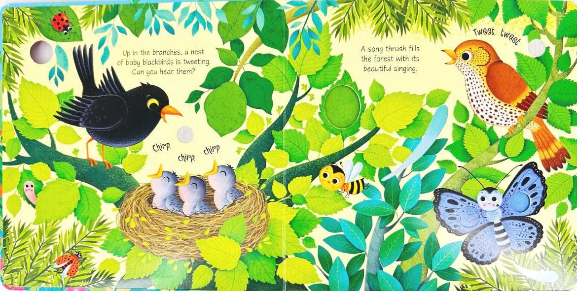 NOWA	Usborne Sound Books Bird Sounds	Sam Taplin