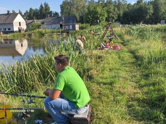 od 15 do 17cm 4szt 100zł i inne węgorz  amur sum