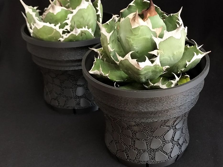Vaso Agave Estilo Japonês (Hexagonal)