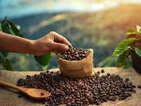 Coffee Pacamara високий сорт - кофе в Україні
